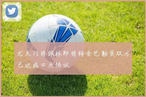 尤文门将佩林即将转会巴勒莫双方已达成口头协议